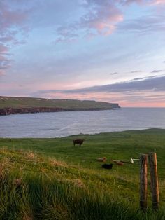 European Summer Photography, Irish Farm Aesthetic, English Countryside Photography, Ireland Farm Aesthetic, Farm By The Sea, Ireland Countryside Aesthetic, Rural Ireland Aesthetic, Ireland Background, Ireland Landmarks