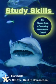 a shark with its mouth open and the words study skills on it's cover