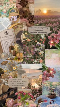 the collage shows flowers, books and other things in different pictures with words on them