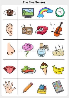 the five types of objects that can be found in this worksheet royalty illustration