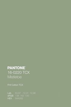 pantone's mint green paint color is shown in this image, with the text pantonee 16 - 0220 tcx