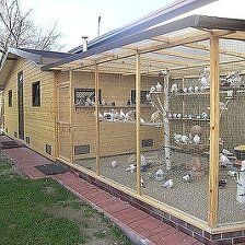 a large bird cage sitting on top of a brick walkway