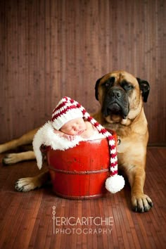 a dog is sitting next to a baby in a santa's sleigh