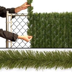 a person is holding a piece of green grass behind a chain link fence, and then placing it on top of the hedge