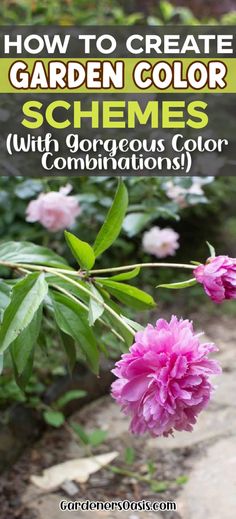 Garden Color Schemes (How To Create Gorgeous Garden Color Combinations) Garden Color Combinations, White Flowering Shrubs, Perennial Ground Cover, Garden Makeover, Covered Garden, Garden Tool Set, Home Garden Design, Blue Garden