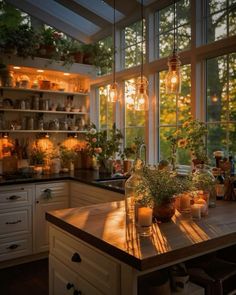 a kitchen filled with lots of potted plants and lights hanging from it's ceiling