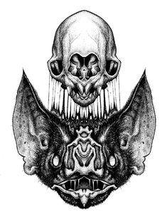 a drawing of two bats with their mouths open