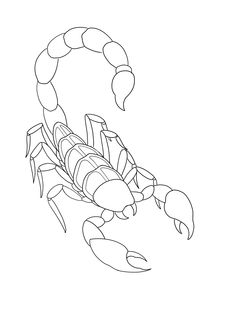 a black and white drawing of a scorpion