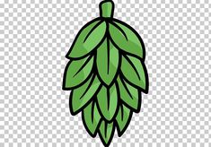 Alcohol Clipart, Modelo Beer Drawing, Drink Vector, Craft Beer Illustration, Hops Illustration Beer, India Pale Ale, Pale Ale, Beer Brewing, Ipa