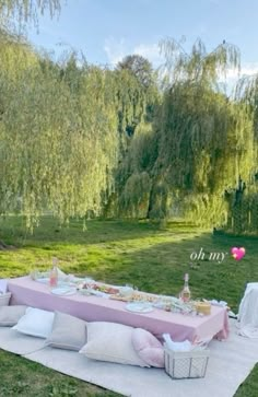 an outdoor picnic setting with pink and white linens