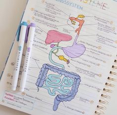 a notebook with an illustrated diagram of the human body on it and two pens next to it