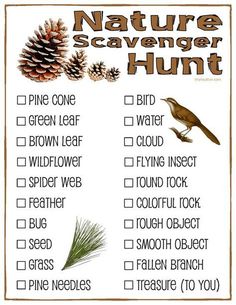 a nature scavenger hunt is shown with pine cones and a bird on it