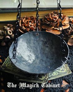 a large metal bowl sitting on top of a pile of books next to pine cones