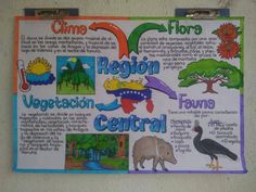 a bulletin board with spanish words and pictures on the front, along with an image of animals