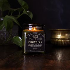 a candle sitting on top of a table next to a potted plant