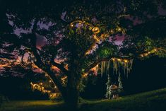 a couple sitting under a tree at night with lights hanging from it's branches