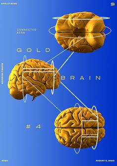 an image of three brain sections with the words gold in each section and blue background