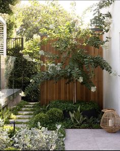 an outdoor garden with trees and plants in the back yard, along with steps leading up to a wooden fence