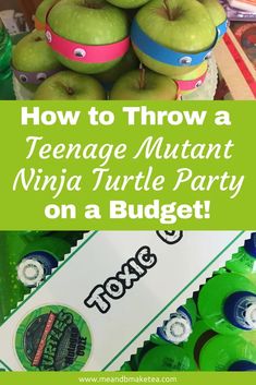 teenage mutant ninja turtle party on a budget