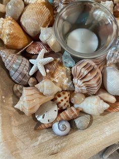 seashells and candles are arranged in a bowl on top of a piece of wood