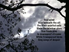 a poem written in front of a cloudy sky with trees and branches silhouetted against it