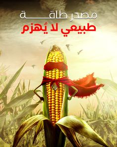 an advertisement for corn on the cob in arabic