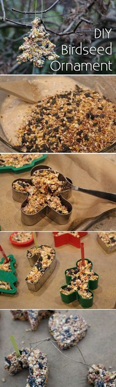 homemade bird seed ornaments made from recycled materials