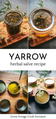 The powerful benefits of yarrow come alive in this herbsal salve made with medicinal flowers. Celebrate herbal medicine by understanding yarrow salve uses that offer a blend of natural remedies and herbal skin care. Perfect for those venturing into herbalism for beginners and seeking potent DIY natural products. You'll love this yarrow salve recipe! Yarrow Salve, Herbal Salve Recipes, Yarrow Plant, Salve Recipes, Herbal Salves, Cold Home Remedies