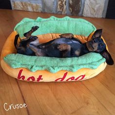 a small dog is laying in a hot dog bed