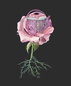 a painting of a pink rose on a black background with green leaves and roots in the center