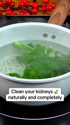 Sage Healing | Clean your kidneys naturally and completely. #kidney #homeremedy #recipes #naturalremedy #parsley | Instagram Smoothie Supplements, Healing Tea, Baby Health, Home Remedies, Natural Remedies, Healing, Health