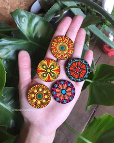 a person's hand is holding five colorful magnets in front of some plants