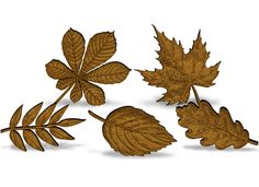 three different types of leaves are shown in this image, one is brown and the other is green