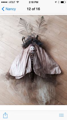 a moth with feathers on its back and wings attached to it's body, sitting on the floor