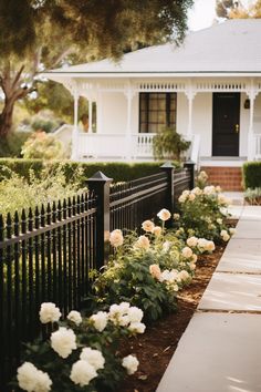 white roses line the side of a fence in front of a house with a black gate