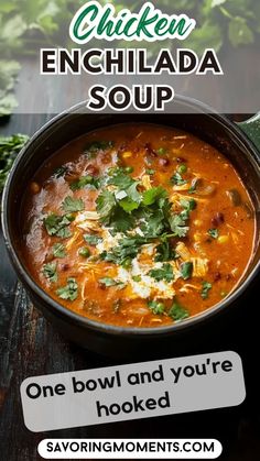 chicken enchilada soup in a bowl with the words, one bowl and you're hooked