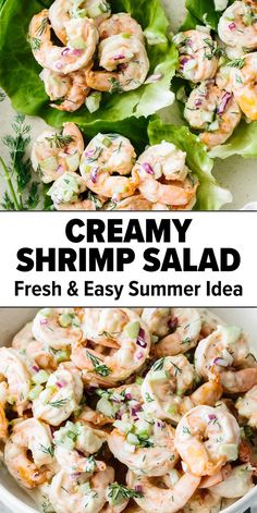 Shrimp salad recipe Healthy Shrimp Salad Clean Eating, Shrimp Salad Recipes Healthy, Creamy Shrimp Salad, Summer Shrimp Recipes, Grilled Shrimp Salad, Shrimp Salad Recipe, Paleo Fish Recipes, Shrimp Salad Recipes, Salad Recipes Healthy Easy