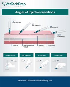 the diagram shows how to use an injector for injections and needles