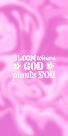 the words bloom where god plants you are