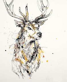 an ink drawing of a deer with antlers on it's head