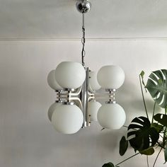 a chandelier hanging from the ceiling in a room with plants and potted plant