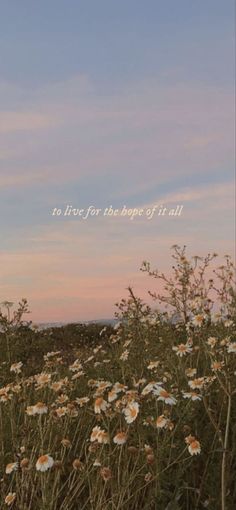 there is a field full of flowers with the sky in the background and words written on it