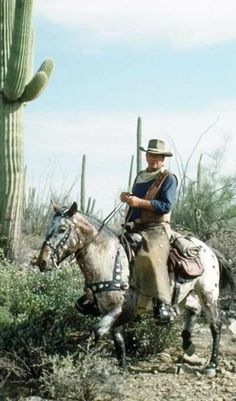 a man riding on the back of a horse next to a cactus