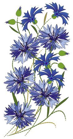 blue flowers with green stems on a white background