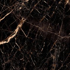 black and gold marble textured background