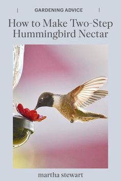 a hummingbird feeding from a feeder with the words how to make two - step hummingbird nectar