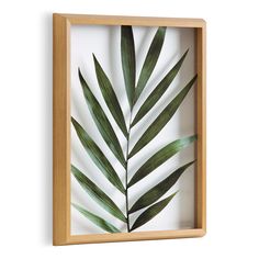 a wooden frame with some green leaves in it