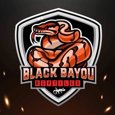 the black bayou logo is displayed on a dark background with fire coming from it