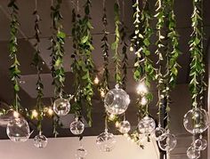 some clear glass balls hanging from a ceiling with greenery on them and lights in the middle