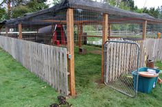 some animals are standing in the grass near a fenced area with a wooden structure